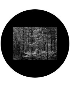 F1195-gs