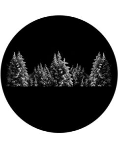 F1198-gs