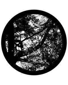 F1203-bw